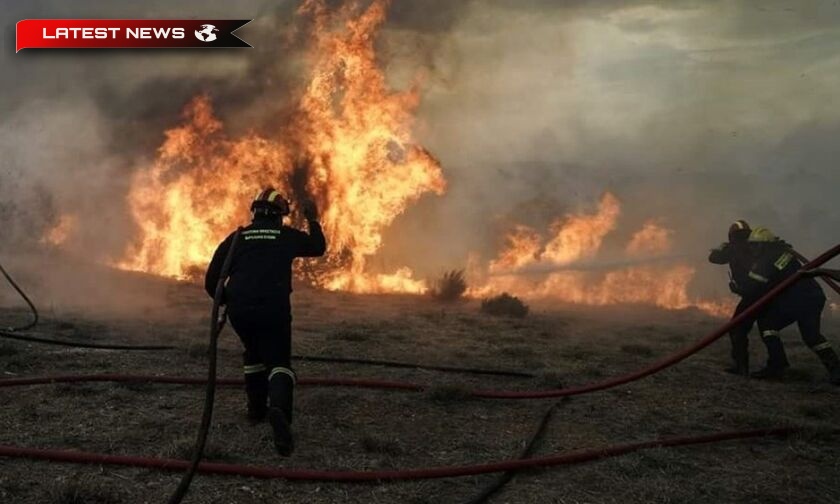 Video | Vânturile sporesc răspândirea incendiilor în Vila și amenință satele rezidențiale