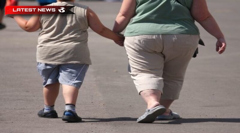 Imerossa: Grecia, a treia în Europa în obezitatea infantilă – Seminarii pentru copii pentru o alimentație adecvată, în colaborare cu bucătari cunoscuți