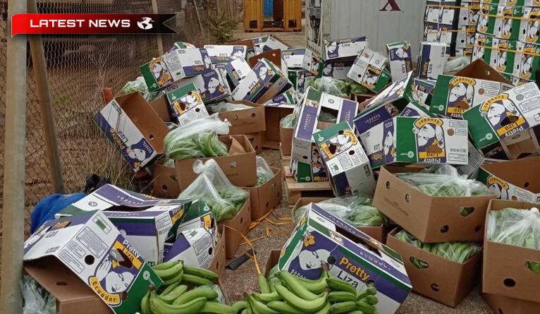 Localizarea și confiscarea a 82 de kilograme de cocaină în portul Salonic