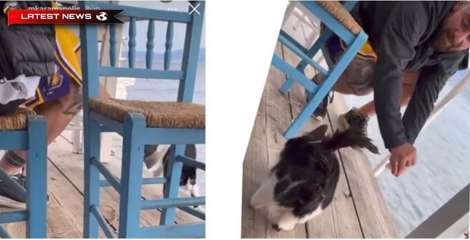 Omul atrage pisica cu pește, o aruncă în mare; Grecii cer pedeapsa lui (video)