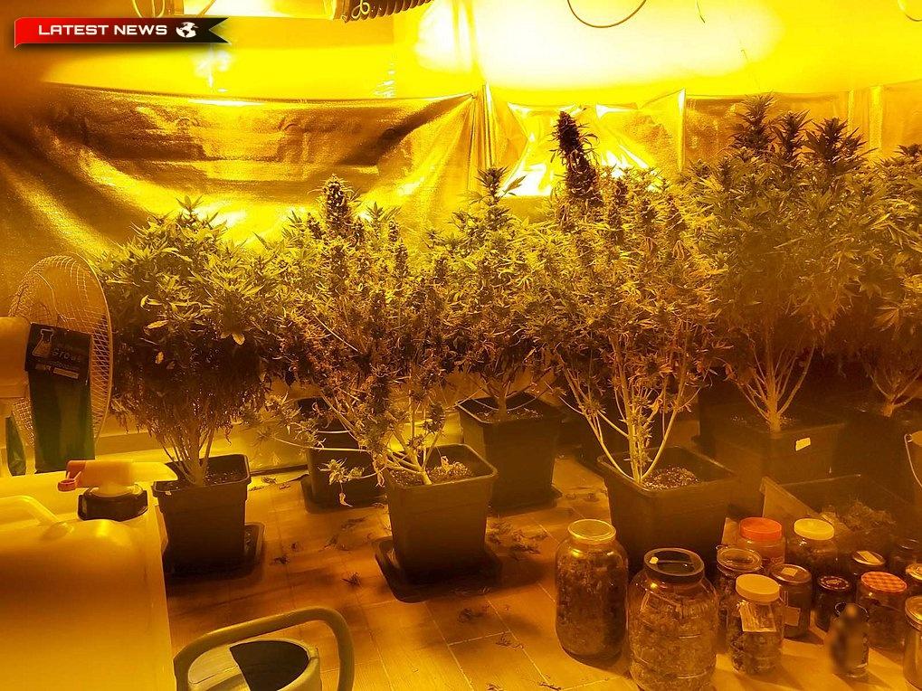 Corint: Două persoane arestate pentru deținerea a aproape patru kilograme de hașiș