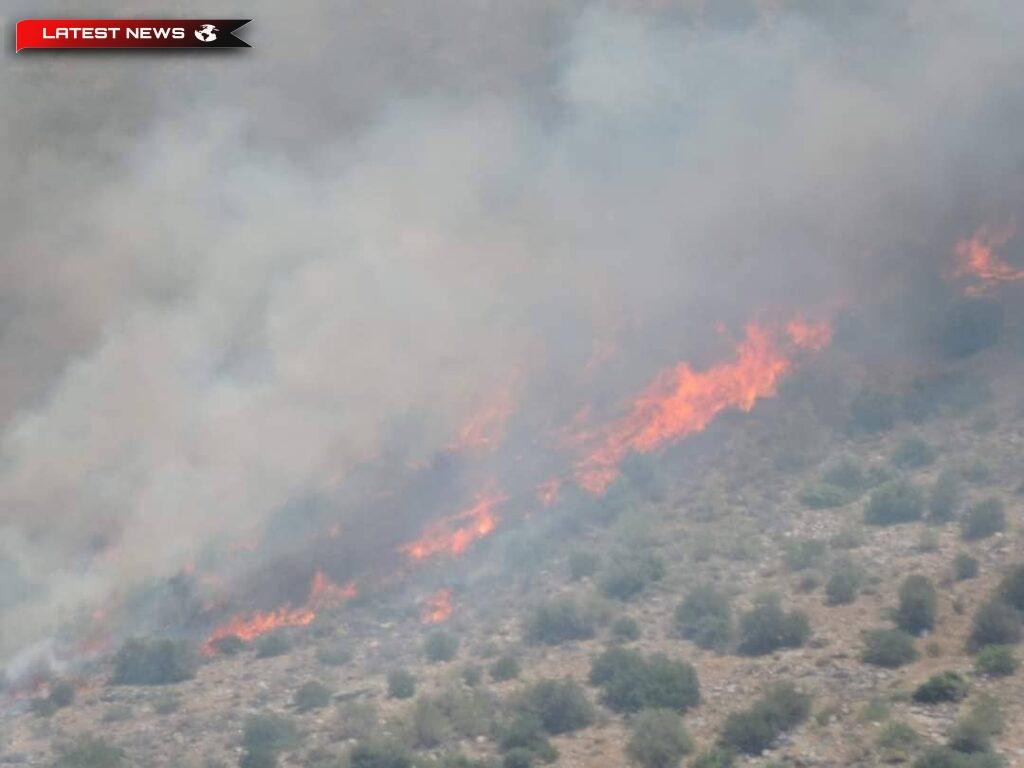Mobilizare mare a Detașamentului de Pompieri pentru incendiul din Glyfada - Nu sunt amenințate case
