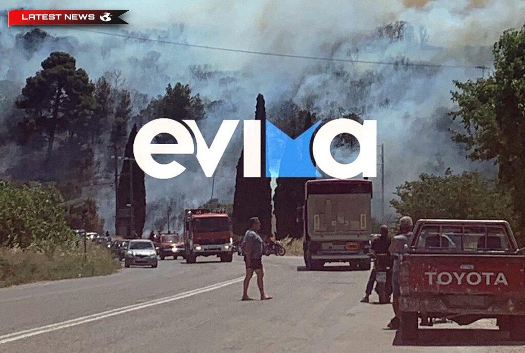 Evia: un incendiu într-o zonă împădurită din Aleviri, lângă o zonă rezidențială - și o zonă fără electricitate