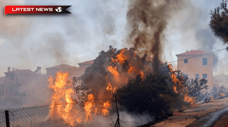 Autoritățile elene evacuează proprietățile de coastă de pe insula Lesvos, pe măsură ce incendiile forestiere se răspândesc