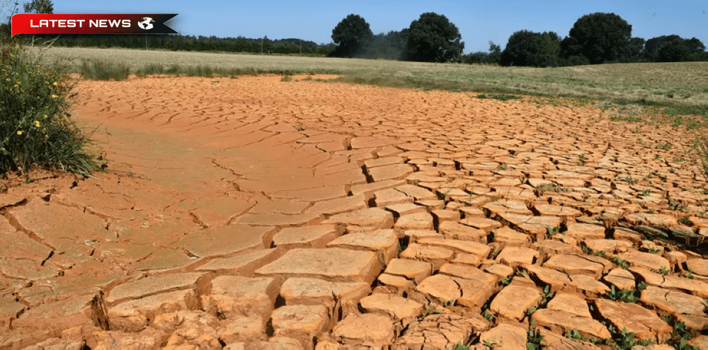 Seceta amenință jumătate din teritoriul Uniunii Europene