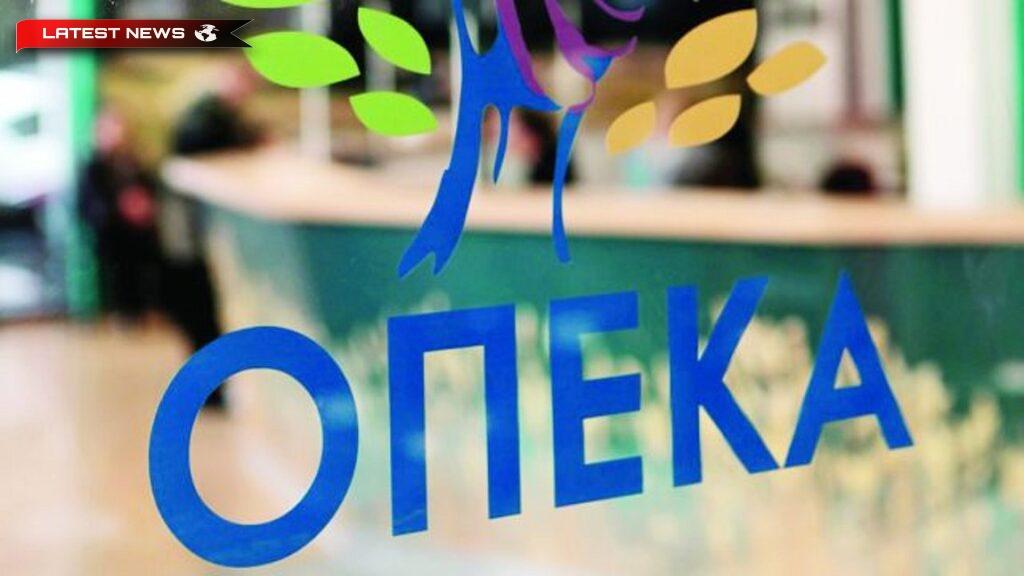 OPEKA: Când se închide temporar platforma online pentru alocația pentru copii