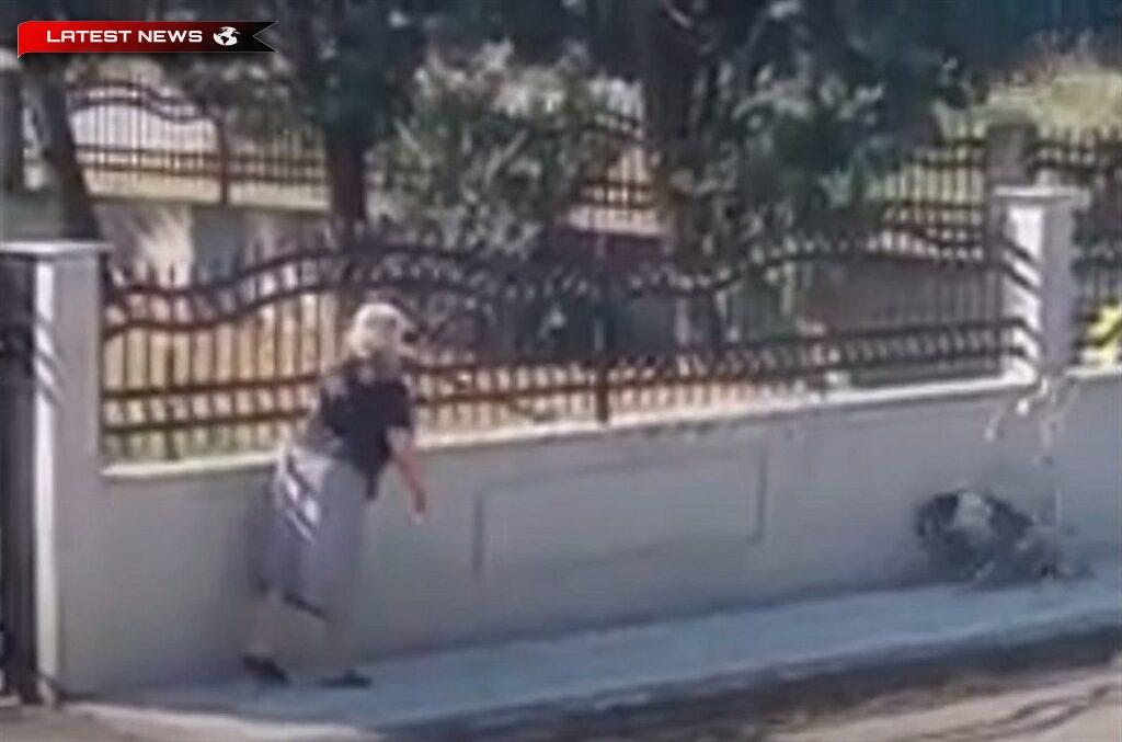 Salonic: Depune un dosar împotriva unei femei de 75 de ani care a aruncat cu un băț într-un câine