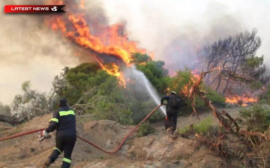 Incendiu mare în zona Syka din Fthiotida