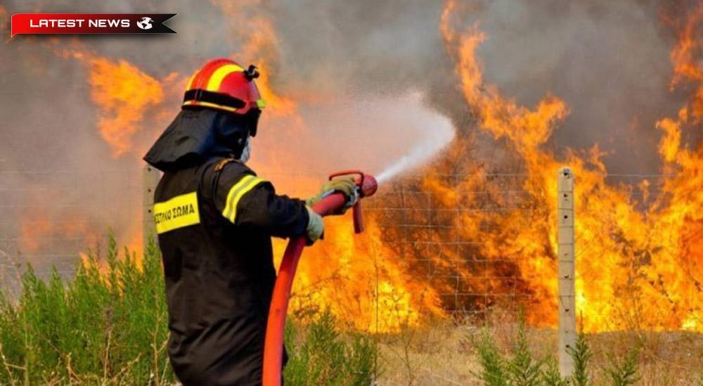 Zakynthos: Incendiu mare într-o zonă de pădure din Askos