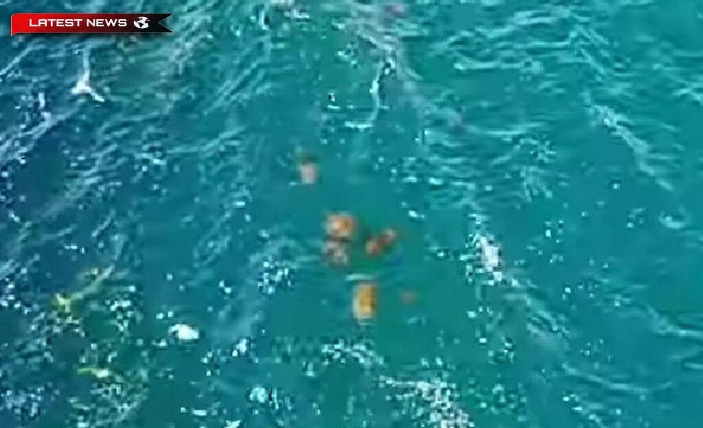 Fenomen rar în Chalkida: „Armata” de meduze care trec cu viteză prin ape [video]