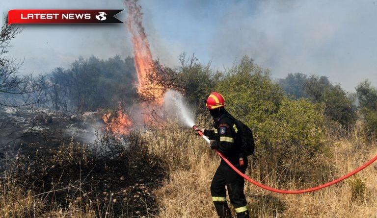 Incendiul a fost limitat la o zonă de pădure din Marathon, Attica