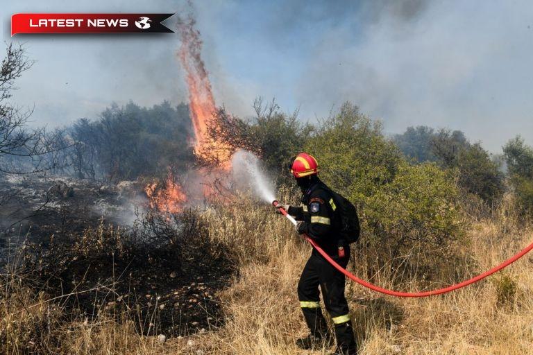 Incendiul a fost limitat la o zonă de pădure din Marathon, Attica