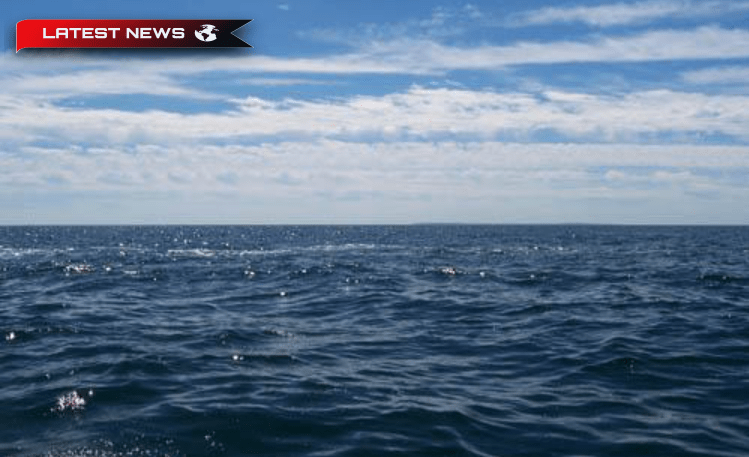 După 11 zile în frigider, un pescar supraviețuiește în mod miraculos printre rechini - video