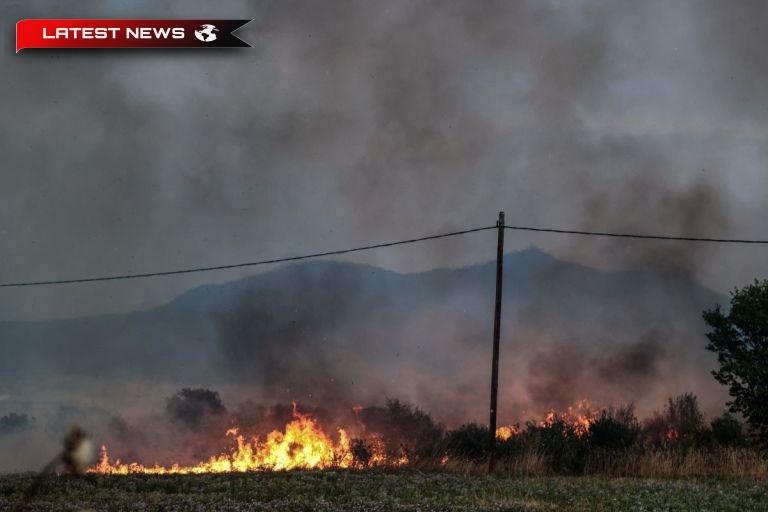 Ilia: Incendiu în curs în Spiantza - Pompierul a leșinat