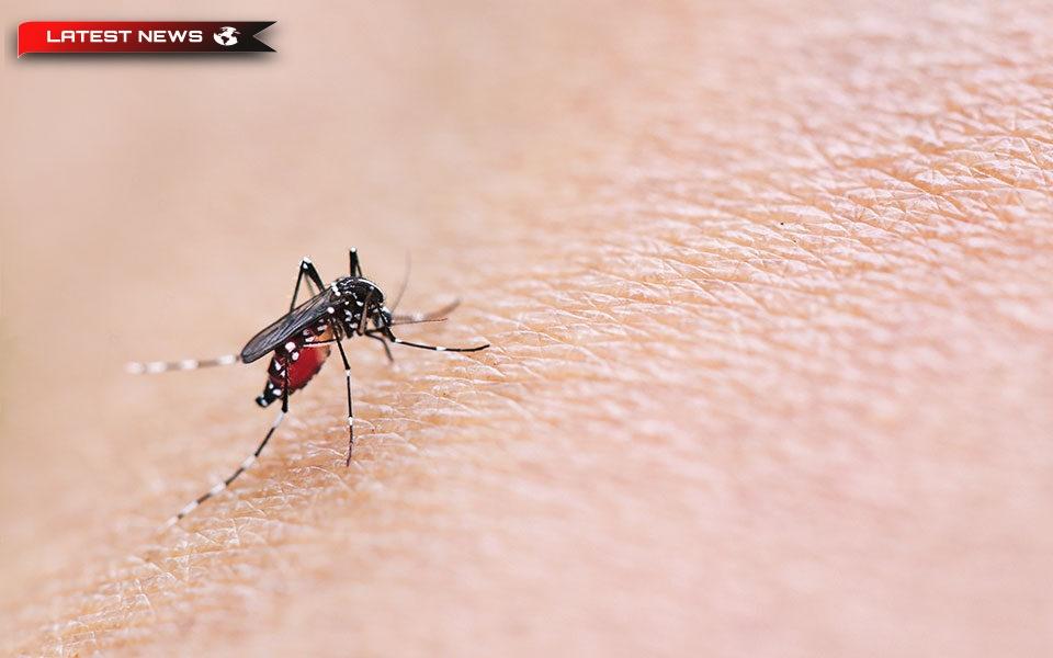 Cazurile de infecție cu virusul West Nile în Grecia cresc la 160