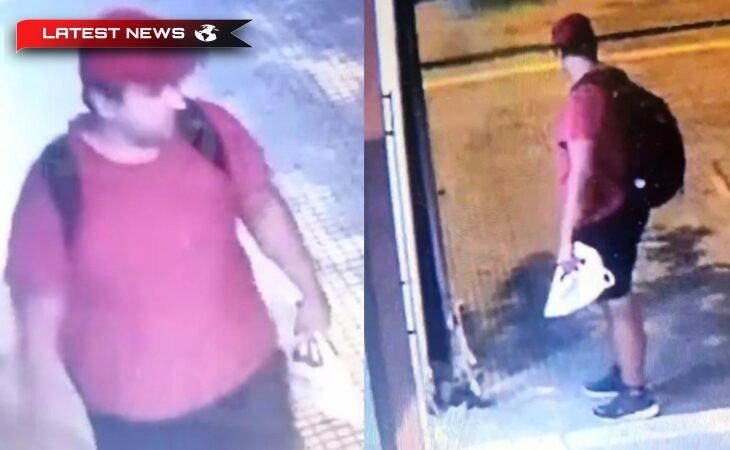 Amenda pentru făptuitorul inconștient: 30.000 de euro vor fi plătiți de tânărul de 40 de ani care a călcat și a „topit” pisoiul la Salonic