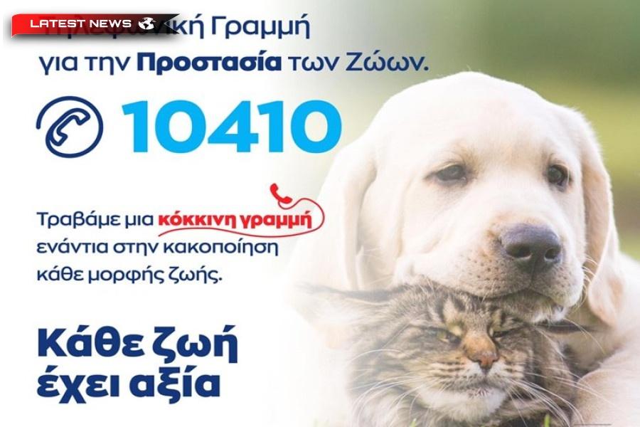 ELAS: Mesaj social pentru noua linie telefonică pentru protecția animalelor