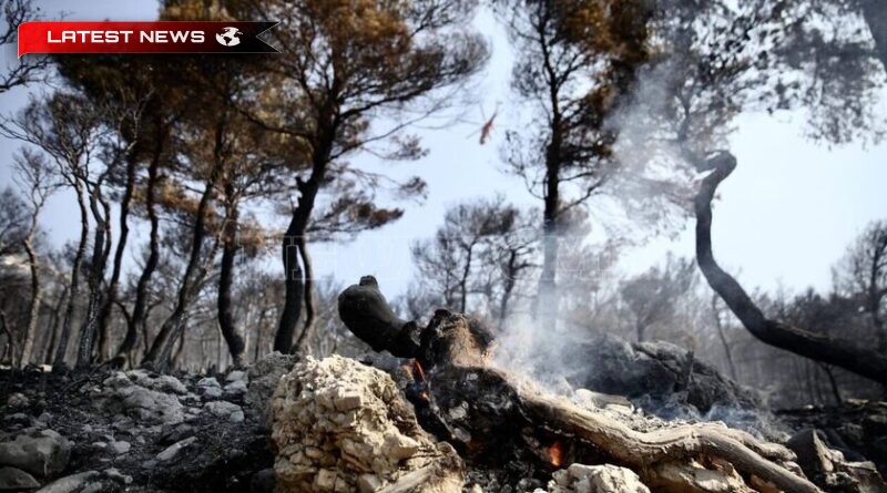 Focul continuă să facă ravagii în Grecia - după tragedia migranților de la graniță