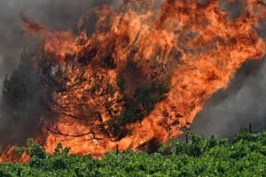 Un imigrant arestat pentru incendiere în Samos