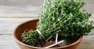 Cimbru verde sălbatic: o plantă magică cu beneficii de neegalat pentru sănătate