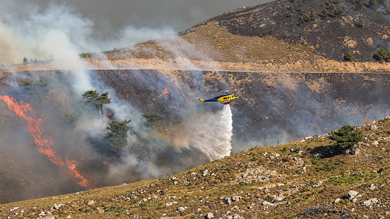 Grecia: Șase incendii majore au afectat 100.000 de acri în 24 de ore
