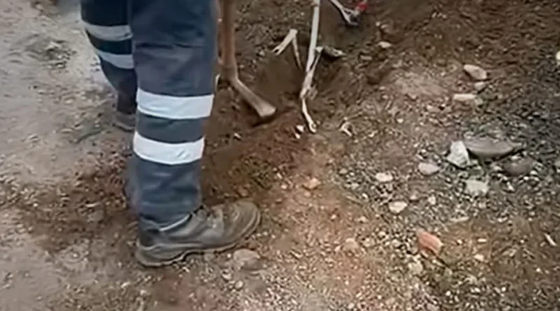 Mandra: Rețea de furt de apă și electricitate descoperită Furtun de 1,5 km conectat la sistemul municipal