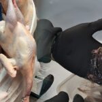 12 tone de produse improprii consumului, confiscate în Attica în urma controalelor intensificate