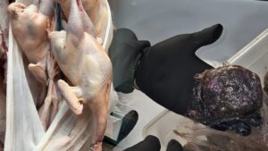 12 tone de produse improprii consumului, confiscate în Attica în urma controalelor intensificate